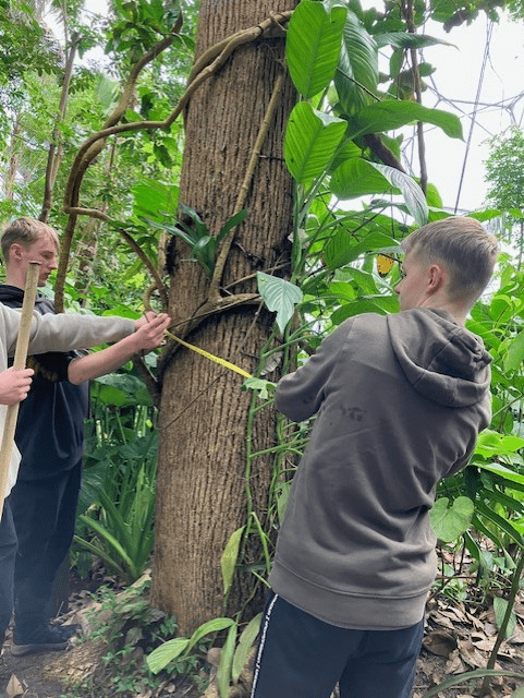 Post 16 students visit the Eden Project